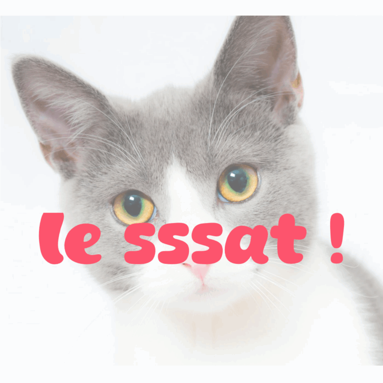 prononcer un sa au lieu d'un chat
