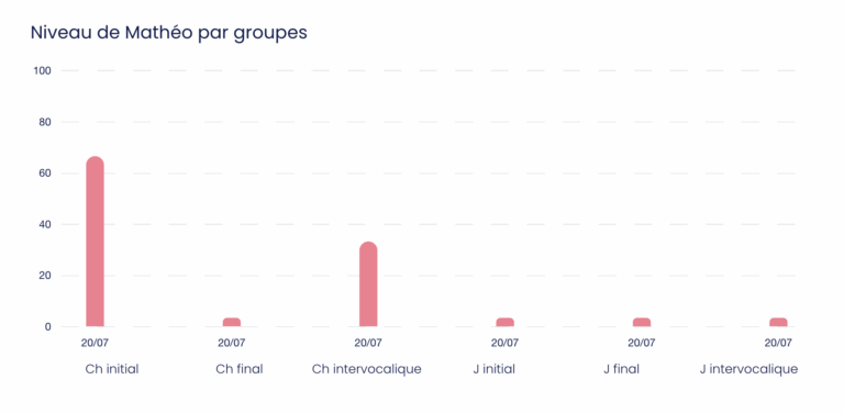 Difficultés de prononciation des sons CH et J chez l’enfantNiveau CH J par catégories